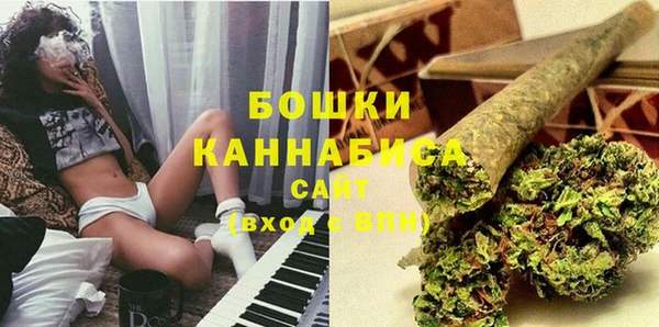 мдпв Пыталово