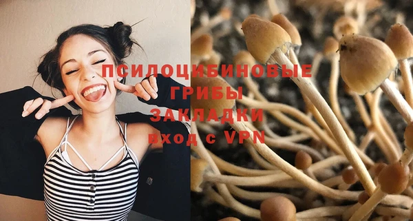 apvp Радужный