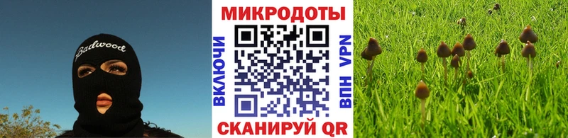 Псилоцибиновые грибы мицелий  Сясьстрой 
